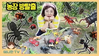 농장 방탈출 ♥ 귤 농장 벌레들을 물리쳐! Bugs All Over The Farm (Feat. 당신의 과수원) [애니한TV]