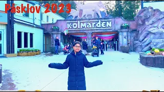 Påsklov Kolmården Wildlife Park Sweden 2023 | Kolmården Zoo | Skalmans Flygskola bamse activity