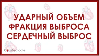 Ударный объем, фракция выброса, сердечный выброс - физиология сердца