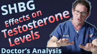 SHBG - Sex Hormone Binding Globulin Effects on Testosterone Levels - Doctor's Analysis