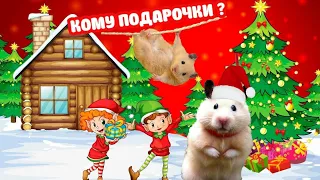 Хомки ! ХОМЯЧКИ готовят ПОДАРКИ 🎁🎁🎁на НОВЫЙ ГОД🎄