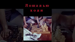 Лошадью ходи дурак #shorts