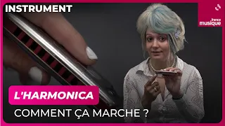 L'harmonica, comment ça marche ? avec Rachelle Plas - Culture prime