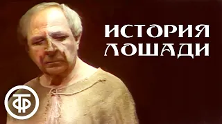 История лошади. По повести Льва Толстого "Холстомер". Постановка БДТ (1989)