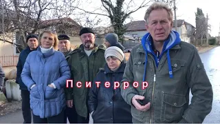 Жесть. 😬 ПсиТеррор Севастопольцев. Обращение к губернатору.