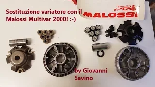 Variator assembly Malossi multivar 2000 sub ENG
