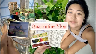 chatty vlog: what quarantine in korea looks like for me:)