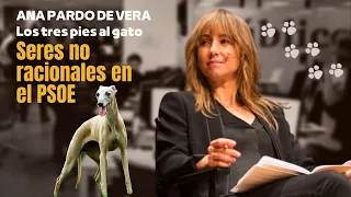 'Seres no racionales en el PSOE', por Ana Pardo de Vera | Los tres pies al gato