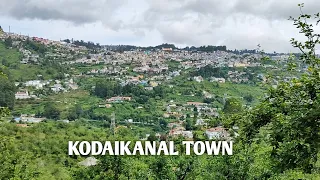 Kodaikanal Town Journey, Kodaikanal Road View, Tamilnadu