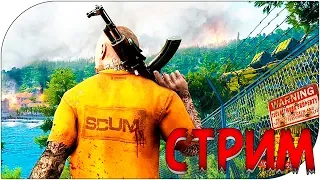 SCUM - НОВАЯ ВЫЖИВАЛКА ! Смесь DayZ и Miscreated ! СТРИМ НА КАНУНЕ ДНЯ РОЖДЕНЬЯ !