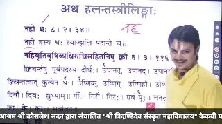 । उपानह् चतुर् इत्यादि शब्द | लघुसिद्धान्तकौमुदी | Part -121 | हलन्तस्त्रीलिङ्ग -1|By Prabhuji |