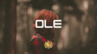 Afrobeat Instrumental "OLE" Ruger x Omahlay x Ayrastarr Type Beat 2024.