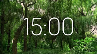 15 Minute Timer Forest Background | Relax Music | Free Download