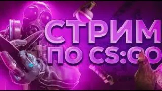 Вечерний   FACEIT   / ВЕБКА / STREAM / Играем в CS GO / #csgo #ксго