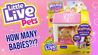 Hippity Hoppity! | Little Live Pets - Mama Surprise Minis - Bunny Edition | Adult Collector Review