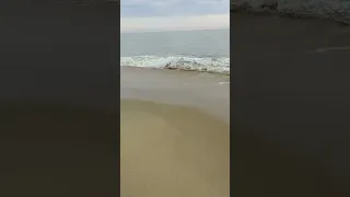Beach Waves in Ocean City MD