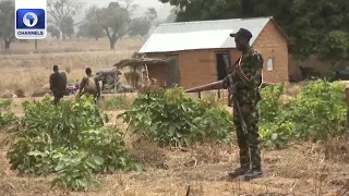 North West Insecurity: Residents Appeal For Sustained Military Onslaught Against Bandits