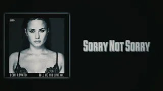 Demi Lovato - Sorry Not Sorry (Slow Version)