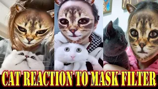 🤣Funny Dogs & Cats Scared Of Cat Mask Filter - Dog & Cat Reaction To Mask Filter | CuteVN Animals