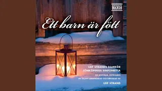 Sankta Lucia (Santa Lucia) (Sung in Swedish) (arr. L. Strand)