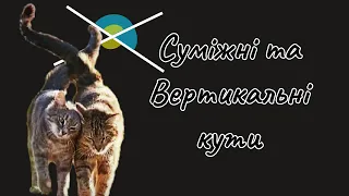 7 клас - Суміжні та Вертикальні кути