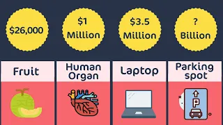 Most Expensive Things comparison - Price Comparison