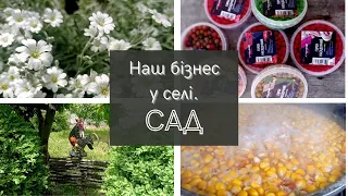 БІЗНЕС ідеї в селі // НАШ СІМЕЙНИЙ БІЗНЕС 🎣// САД навесні 🌳#бізнес