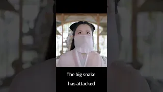 🐍🐍The big snake has attcaked《Legend of Snake》#shorts