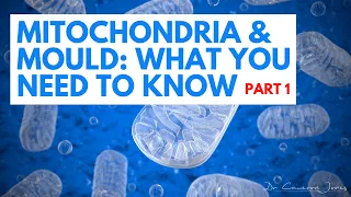 Mitochondrial Dysfunction and Mould: What You Need To Know. Part 1