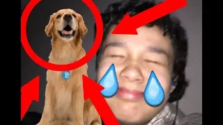 ACCIDENTALLY KILLED MY DOG!!! (NOT CLICKBAIT)