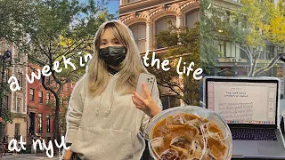 the first week of october at nyu *week in the life*