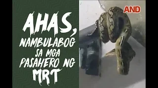 Ahas nambulabog sa mga pasahero ng MRT