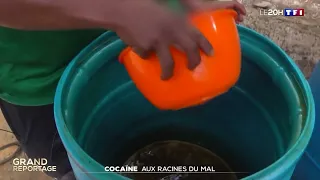 Colombie : Aux racines du mal