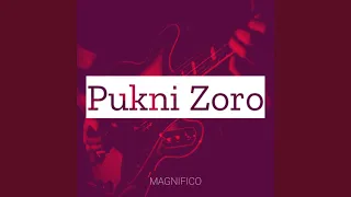 Pukni Zoro