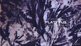 Dexter Crowe - Platypus (Evren Furtuna Remix) [Saisons]