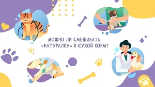 Можно ли смешивать натуральную пищу и сухой корм?