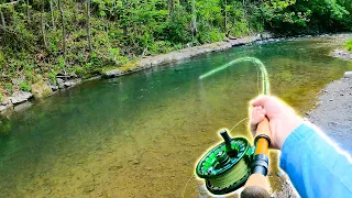 Catching GIANT Brown Trout in a Small Creek! (28 Inch Wild Trout)