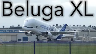 BELUGA XL A300-743I ACTION AT HAWARDEN AIRPORT - INC BELUGA A300-600ST - 25/08/21