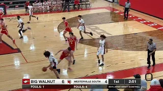 (JV) Big Walnut (46) vs. Westerville South (44) - January 22, 2024 (HD)