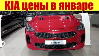 КИА удивился сколько стоит в Корее и в России. Цена на KIA RIO?