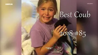 Best Coub 2018 лучшие приколы ноябрь #85