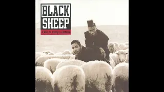 Black Sheep - The Choice Is Yours (Revisited)