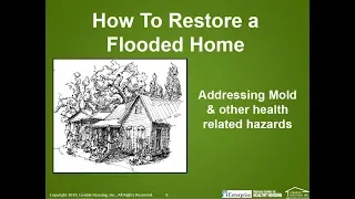 How to Restore Your Flooded Home: Addressing Mold & Other Health Related Hazards