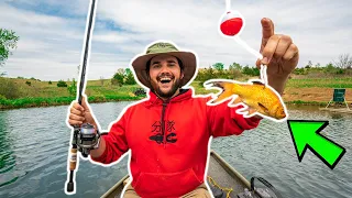 Fishing with GIANT LIVE GOLDFISH in My BACKYARD POND!!! (Surprise Catch)