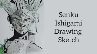 Senku Ishigami drawing sketch( Dr. Stone)