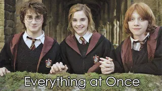 Harry Potter- Everything at Once