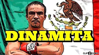 Juan Manuel Marquez Boxing Style | The Counter Puncher With Dynamite Hands