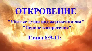 Откровение Глава 6:9-11;   "Убитые души под жертвенником". "Первое воскресение".