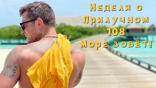 Недели о Прилучном №108. Море зовёт!