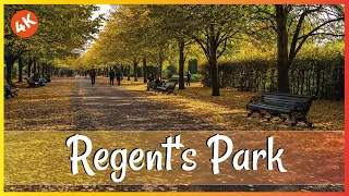 Secrets of Regent's Park: A Royal Exploration on Foot